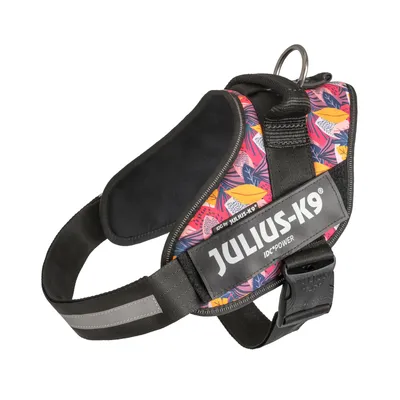 Edycja limitowana: Julius-K9 IDC® Power szelki dla psa Leaf 2