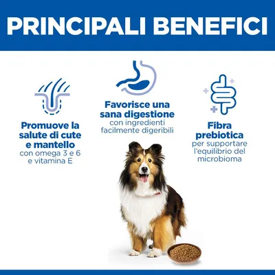 Hill's Science Plan Dog Sensitive Stomach & Skin Pollo umido cane Hill's Science Plan Dog Sensitive Stomach & Skin Pollo umido cane