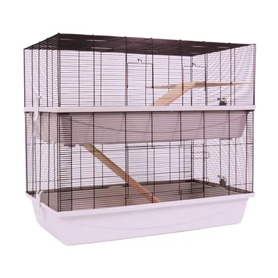Gabbia a due piani con pareti a griglia metallica, base in plastica bianca e rampe in legno tra i livelli.