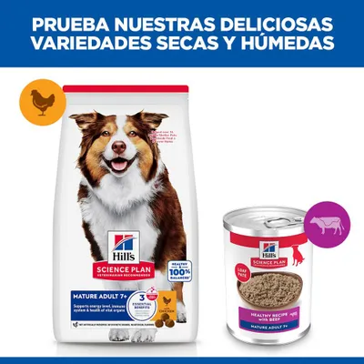 Hill's Science Plan Mature Adult 7+ latas para perros
