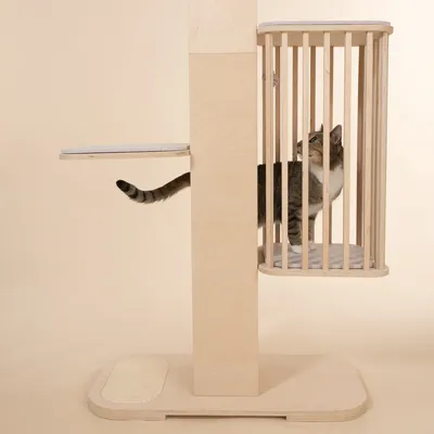 Natural Paradise Tulip kradsetræ Natural Paradise Tulip kradsetræ