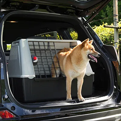 Hond in kunststof transportbox met metalen traliedeur, geplaatst in de kofferbak van een auto. Box heeft grijze bovenkant en zwarte onderkant, rode draaiknop zichtbaar op deur.