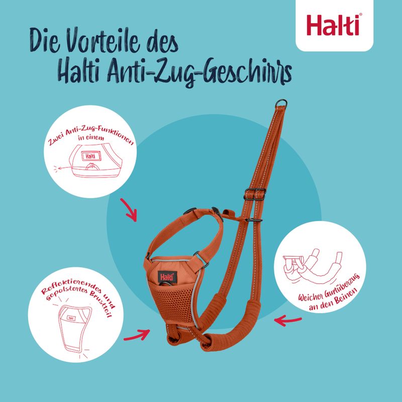 Die Vorteile des Halti Anti-Zug-Geschirrs: Zwei Anti-Zug-Funktionen in einem, reflektierendes und gepolstertes Brustteil, weicher Gurteinsatz an den Beinen.