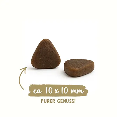 Zwei dreieckige Stücke, Text: ca. 10 x 10 mm, PURER GENUSS! Zwei dreieckige Stücke, Text: ca. 10 x 10 mm, PURER GENUSS!