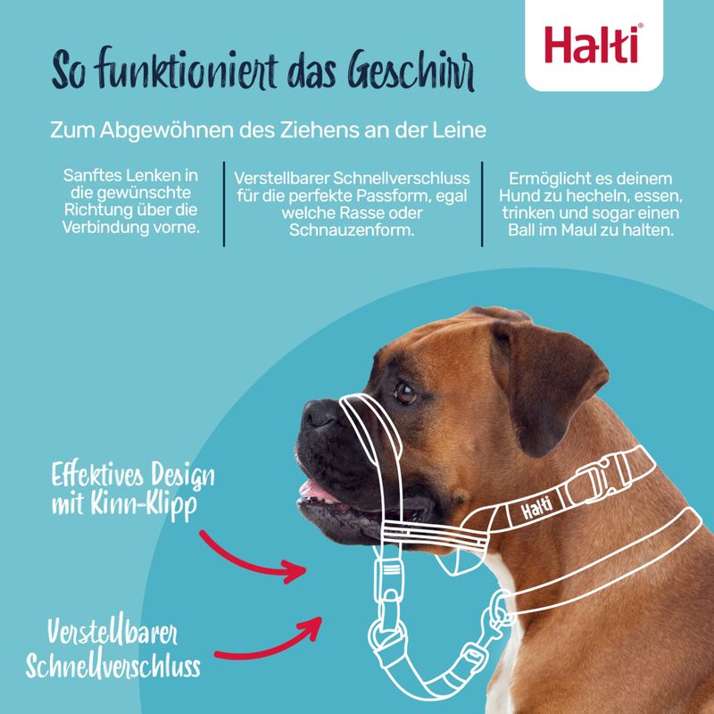 Halti Geschirr zur Gewöhnung an sanftes Lenken. Verstellbarer Schnellverschluss für perfekte Passform, ermöglicht Hecheln, Essen, Trinken und Ballhalten. Effektives Design mit Kinn-Klipp.