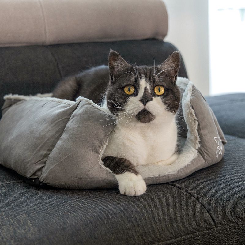 beeztees Katzenbett Baboo