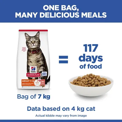 Hill's Science Plan Adult 1 - 6 Salmon