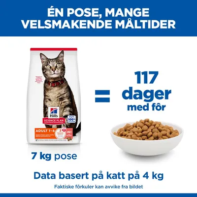 Hill's Science Plan Adult 1-6 laks