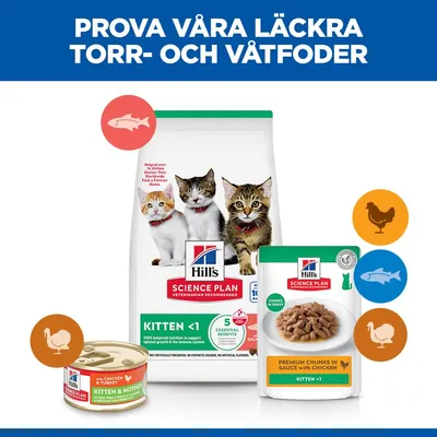 Hill's Science Plan Kitten <1 Salmon