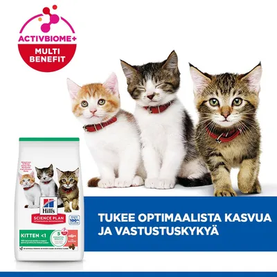Hill's Science Plan Kitten <1 Kuivaruoka, jossa on kuva kolmesta kissanpennusta, ActivBiome+ Multi Benefit -logo ja teksti: Tukee optimaalista kasvua ja vastustuskykyä. Hill's Science Plan Kitten <1 Kuivaruoka, jossa on kuva kolmesta kissanpennusta, ActivBiome+ Multi Benefit -logo ja teksti: Tukee optimaalista kasvua ja vastustuskykyä.