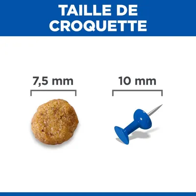 Comparaison de la taille des croquettes : une croquette de 7,5 mm de diamètre à côté d’une punaise de 10 mm de diamètre.