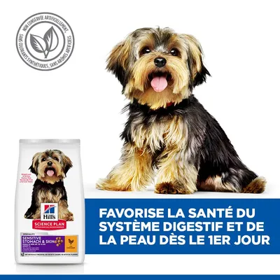 Hill's Science Plan Sensitive Stomach & Skin Adulte. Soutient le système digestif et la peau dès le premier jour. Sans conservateurs, colorants ou arômes artificiels.