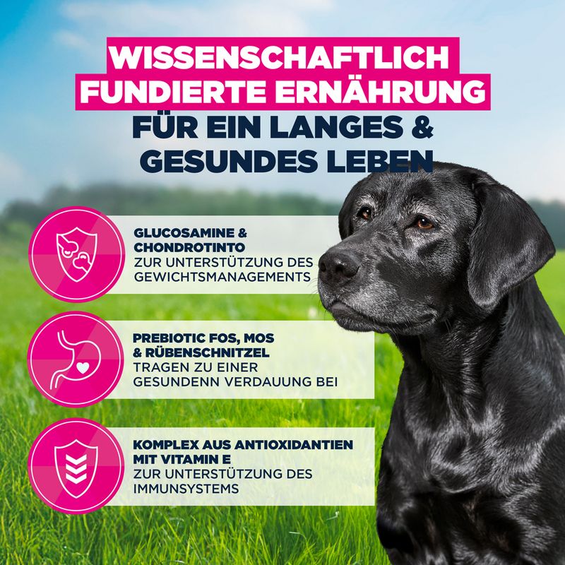 Eukanuba Premium Nutrition Senior Large & Giant Breed piščanec