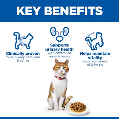 Clinically tested, supports urinary tract health with controlled mineral levels, helps maintain vitality with a high lysine content. Image shows a cat and a food bowl. Clinically tested, supports urinary tract health with controlled mineral levels, helps maintain vitality with a high lysine content. Image shows a cat and a food bowl.