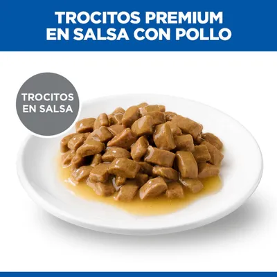Trocitos Premium en salsa con pollo, Trocitos en salsa presentados en un plato blanco.