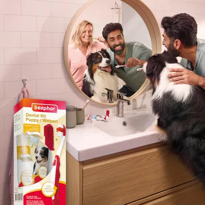 beaphar Dental Hygiene Set for Puppies