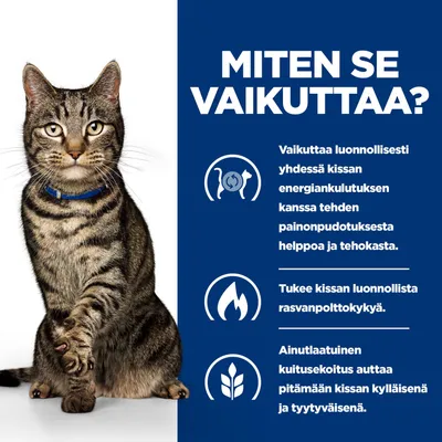Infografiikka kissasta ja suomenkielisestä tekstistä: Tukee luonnollista energiankulutusta, edistää rasvanpolttoa, erityinen kuituseos pitää kissan kylläisenä ja tyytyväisenä. Infografiikka kissasta ja suomenkielisestä tekstistä: Tukee luonnollista energiankulutusta, edistää rasvanpolttoa, erityinen kuituseos pitää kissan kylläisenä ja tyytyväisenä.