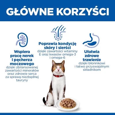 Główne zalety: wspomaganie nerek i pęcherza, poprawa skóry i sierści, ułatwia zdrowe trawienie. Przedstawiono kota z miską na karmę. Główne zalety: wspomaganie nerek i pęcherza, poprawa skóry i sierści, ułatwia zdrowe trawienie. Przedstawiono kota z miską na karmę.