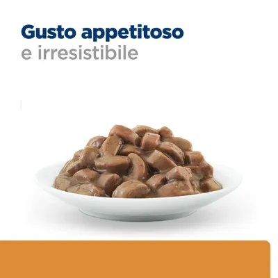 Piatto con pezzi di carne marrone in salsa. Testo: Gusto appetitoso e irresistibile.