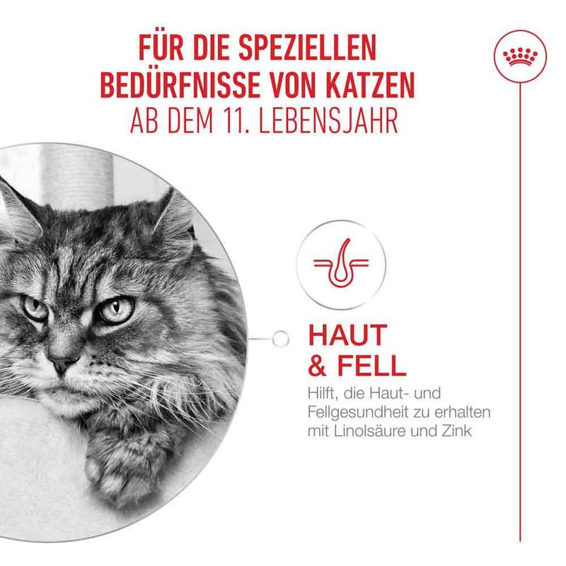 Royal Canin Ageing 11+ in Gelee