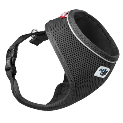 Set Curli : Harnais Air-Mesh Basic & Laisse pour chien, noir