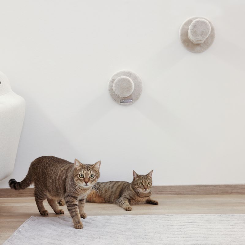 Kerbl Pet Kletterwand Matterhorn für Katzen, beige