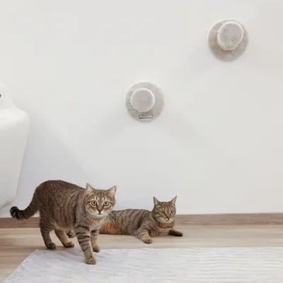 Kerbl Pet Kletterwand Matterhorn für Katzen, beige