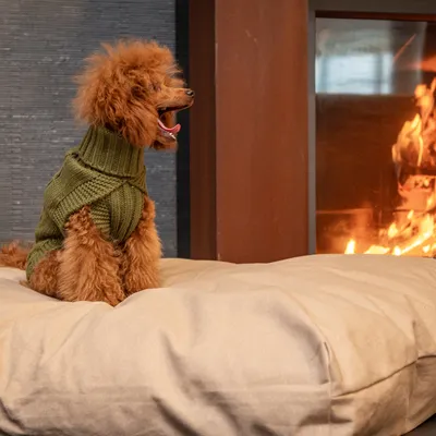 Rukka Wooly Maglioncino per cani , oliva
