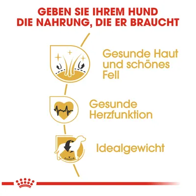 Geben Sie Ihrem Hund die Nahrung, die er braucht: Gesunde Haut und schönes Fell, gesunde Herzfunktion, Idealgewicht.
