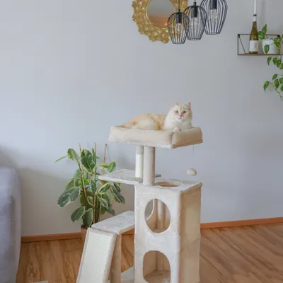 Kerbl Pet Arbre à chat Alessia, beige
