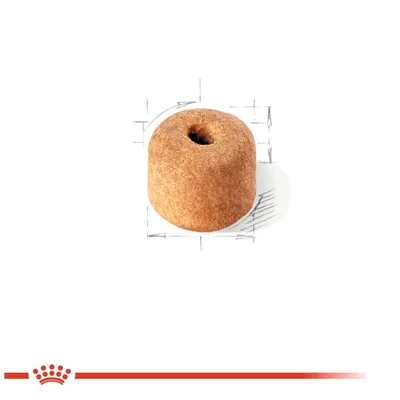 Едно парче суха храна за домашни любимци с цилиндрична форма и отвор в средата, на бял фон с чертежи и червена лента с корона Royal Canin долу.