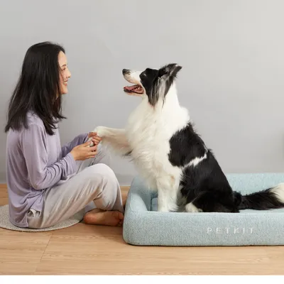 Petkit Four Seasons Pet Bed – Light Blue
