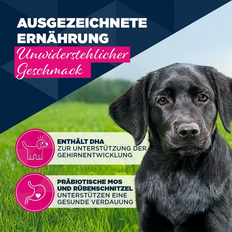 Eukanuba Puppy Reich an Rind mit Kürbis