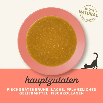 Applaws Knochenbrühe 12 x 85 g