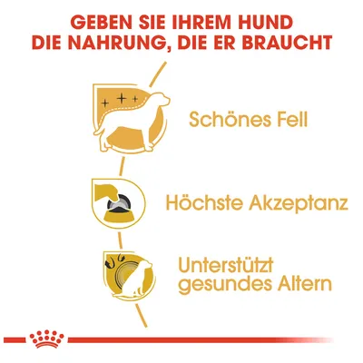 Geben Sie Ihrem Hund die Nahrung, die er braucht: Schönes Fell, höchste Akzeptanz, unterstützt gesundes Altern.