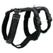 Petlando harnais de sécurité en mesh, noir
