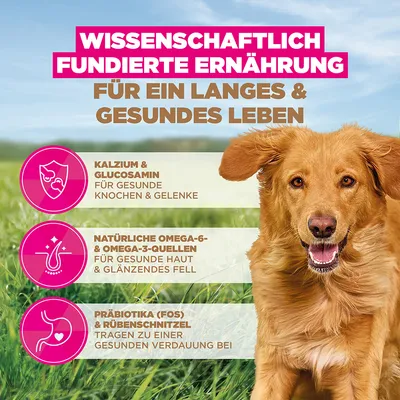 Eukanuba Grain Free Adult Large mit Lamm