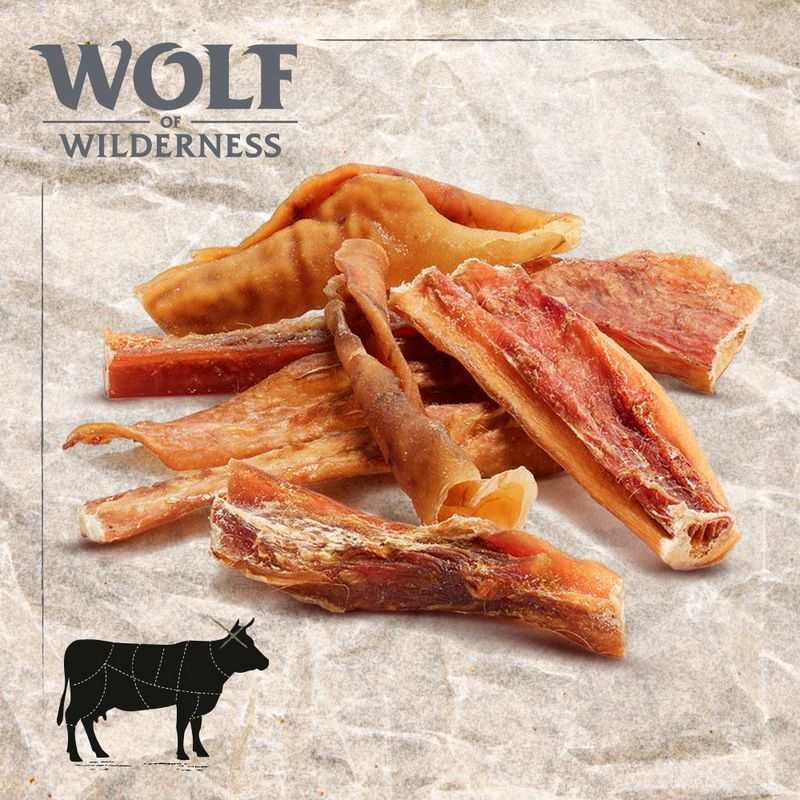 Wolf of Wilderness koža goveđe glave "High Toplands"