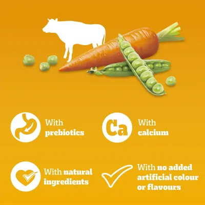 PEDIGREE® COMPLETE™ Puppy Beef & Vegetables