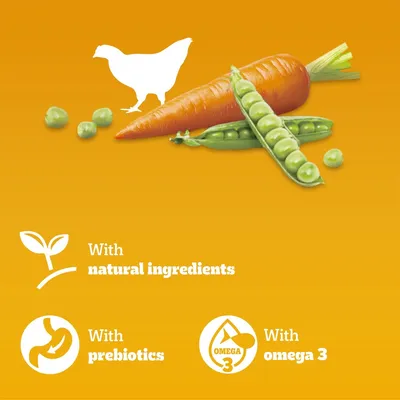 PEDIGREE® COMPLETE™ Senior Poultry & Vegetables