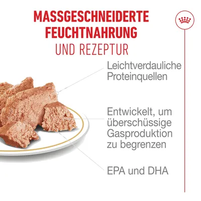 Royal Canin French Bulldog Loaf