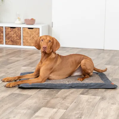 Trixie Be Nordic Tapis de repos pour chien et chat Föhr, noir/sable