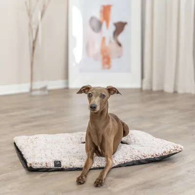 Trixie Tapis chauffant pour chien et chat Calida, blanc-brun Trixie Tapis chauffant pour chien et chat Calida, blanc-brun