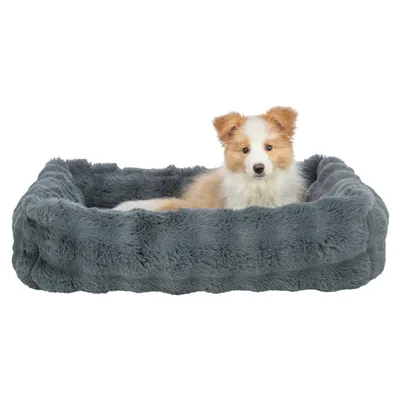 Trixie Lit Elli, gris foncé