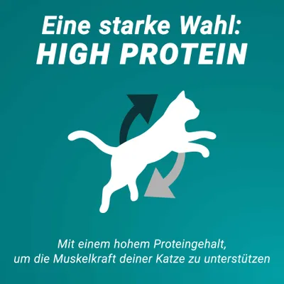 Eine starke Wahl: High Protein. Mit hohem Proteingehalt zur Unterstützung der Muskelkraft deiner Katze. Eine starke Wahl: High Protein. Mit hohem Proteingehalt zur Unterstützung der Muskelkraft deiner Katze.