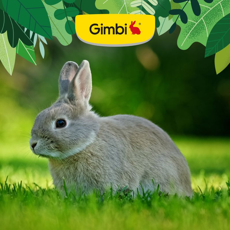 Gimbi Mother Nature Granulés