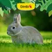 Gimbi Mother Nature Rabbit Pellet