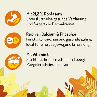 Gimbi Mother Nature Guinea Pig