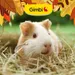 Gimbi Mother Nature Cavia Pellet