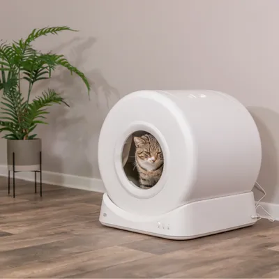 Trixie Smarte Katzentoilette Trixie Smarte Katzentoilette